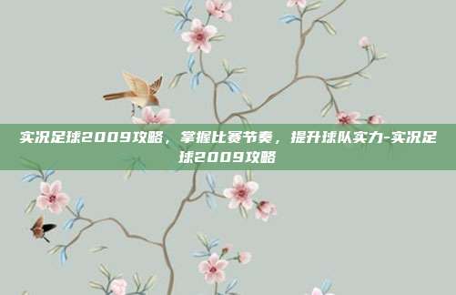 实况足球2009攻略,掌握比赛节奏,提升球队实力-实况足球2009攻略