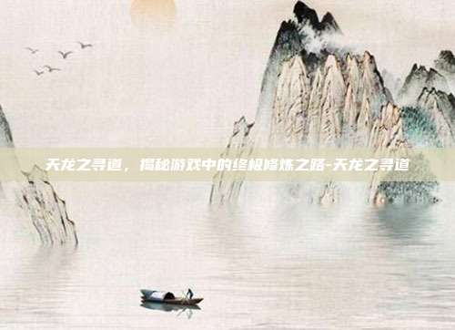 天龙之寻道,揭秘游戏中的终极修炼之路-天龙之寻道