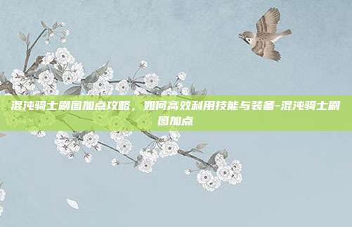 混沌骑士刷图加点攻略,如何高效利用技能与装备-混沌骑士刷图加点