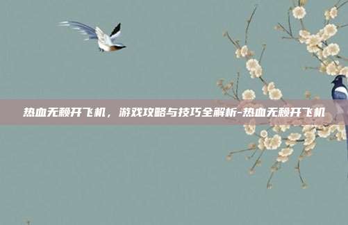 热血无赖开飞机,游戏攻略与技巧全解析-热血无赖开飞机