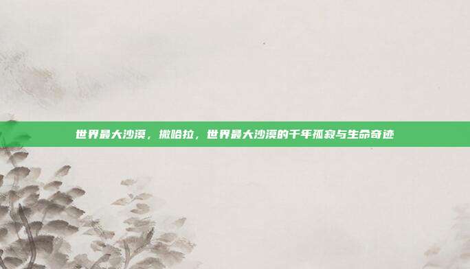 世界最大沙漠,撒哈拉,世界最大沙漠的千年孤寂与生命奇迹