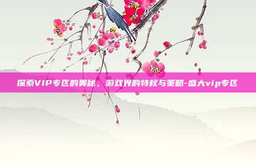 探索VIP专区的奥秘,游戏界的特权与策略-盛大vip专区