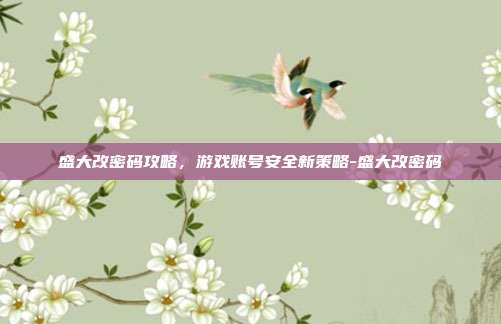 盛大改密码攻略,游戏账号安全新策略-盛大改密码