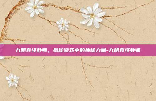 九阴真经卦师,揭秘游戏中的神秘力量-九阴真经卦师