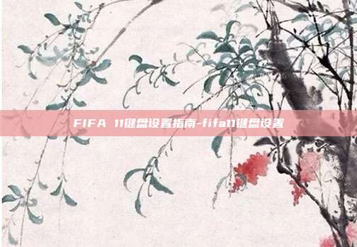 FIFA 11键盘设置指南-fifa11键盘设置