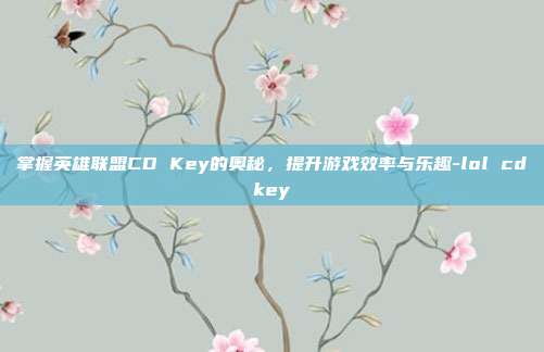 掌握英雄联盟CD Key的奥秘,提升游戏效率与乐趣-lol cdkey