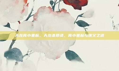 天龙宵小坐标,天龙诛邪录,宵小坐标与侠义之道