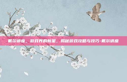 戴尔讲座,游戏界的新星,揭秘游戏攻略与技巧-戴尔讲座
