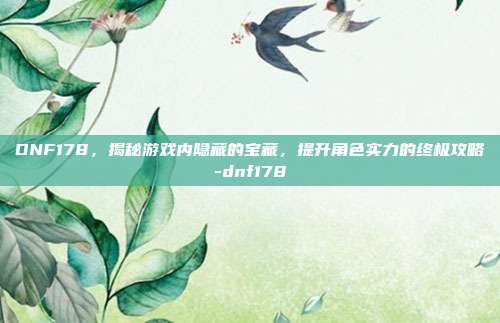 DNF178,揭秘游戏内隐藏的宝藏,提升角色实力的终极攻略-dnf178