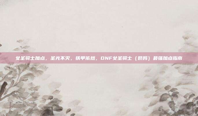 女圣骑士加点,圣光不灭,铁甲依然,DNF女圣骑士(奶妈)最强加点指南