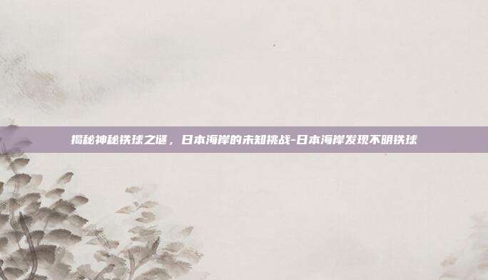 揭秘神秘铁球之谜,日本海岸的未知挑战-日本海岸发现不明铁球