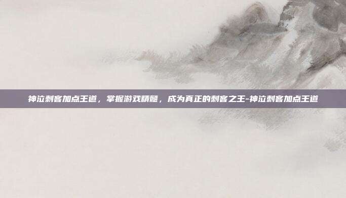 神泣刺客加点王道,掌握游戏精髓,成为真正的刺客之王-神泣刺客加点王道