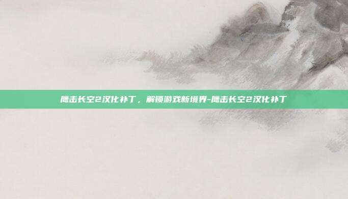 鹰击长空2汉化补丁,解锁游戏新境界-鹰击长空2汉化补丁