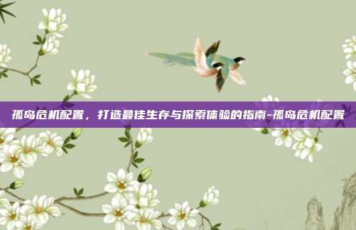 孤岛危机配置,打造最佳生存与探索体验的指南-孤岛危机配置