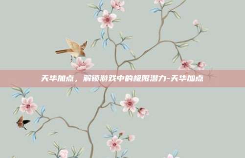 天华加点,解锁游戏中的极限潜力-天华加点