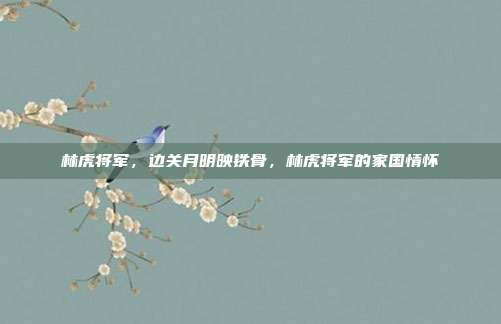 林虎将军,边关月明映铁骨,林虎将军的家国情怀