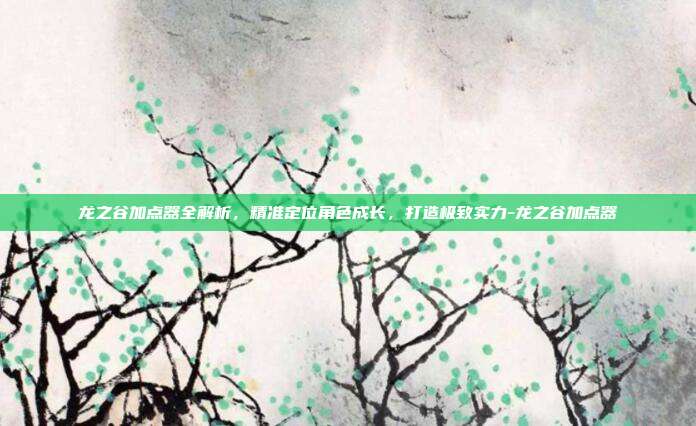 龙之谷加点器全解析,精准定位角色成长,打造极致实力-龙之谷加点器