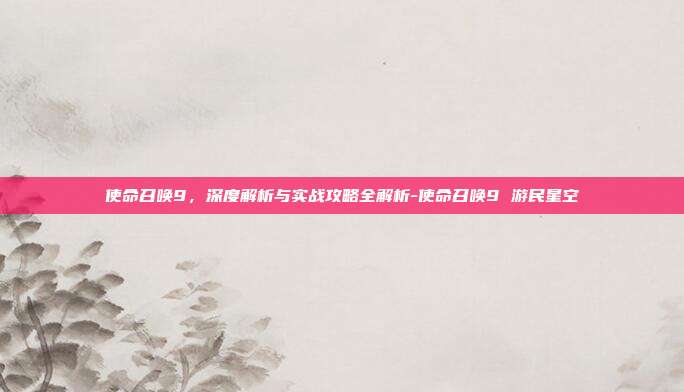 使命召唤9,深度解析与实战攻略全解析-使命召唤9 游民星空