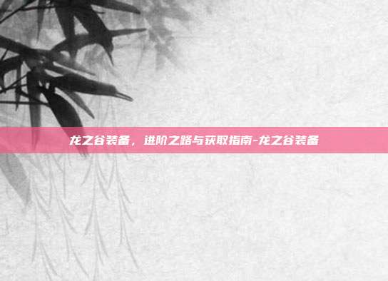 龙之谷装备,进阶之路与获取指南-龙之谷装备