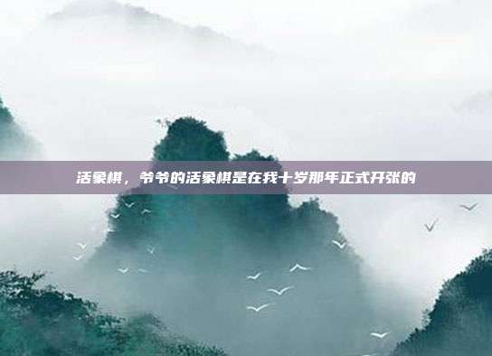 活象棋,爷爷的活象棋是在我十岁那年正式开张的
