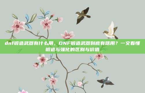 dnf锻造武器有什么用,DNF锻造武器到底有啥用?一文看懂锻造与强化的区别与价值