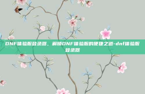 DNF体验服登录器，解锁DNF体验服的便捷之道-dnf体验服登录器