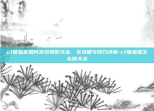 cf体验服如何高效领取天龙,全攻略与技巧详解-cf体验服怎么领天龙