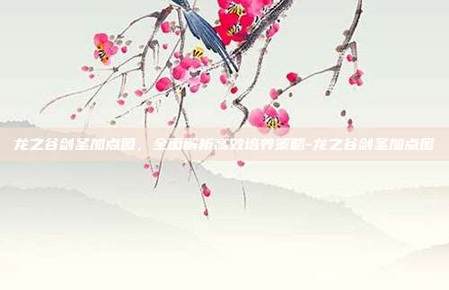 龙之谷剑圣加点图,全面解析高效培养策略-龙之谷剑圣加点图