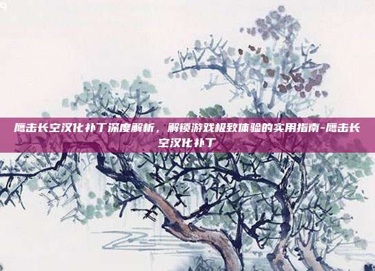 鹰击长空汉化补丁深度解析,解锁游戏极致体验的实用指南-鹰击长空汉化补丁