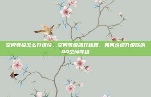 空间等级怎么升级快,空间等级飙升秘籍,如何快速升级你的QQ空间等级