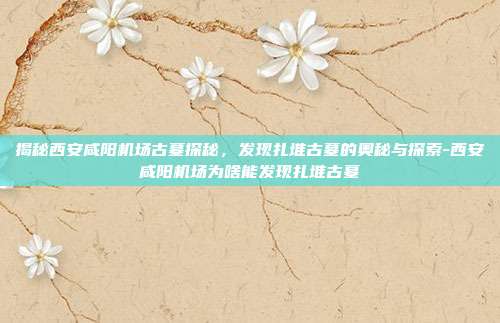 揭秘西安咸阳机场古墓探秘,发现扎堆古墓的奥秘与探索-西安咸阳机场为啥能发现扎堆古墓