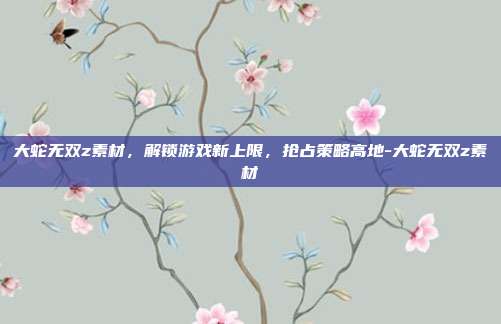 大蛇无双z素材,解锁游戏新上限,抢占策略高地-大蛇无双z素材