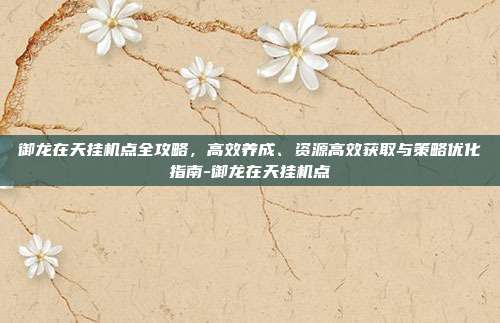 御龙在天挂机点全攻略,高效养成、资源高效获取与策略优化指南-御龙在天挂机点