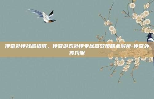 传奇外传找服指南,传奇游戏外传专属高效策略全解析-传奇外传找服