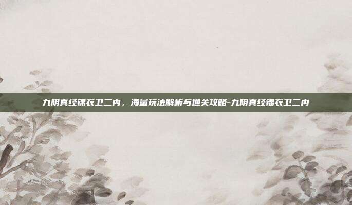 九阴真经锦衣卫二内,海量玩法解析与通关攻略-九阴真经锦衣卫二内