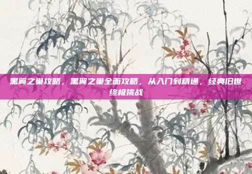 黑翼之巢攻略,黑翼之巢全面攻略,从入门到精通,经典旧世终极挑战