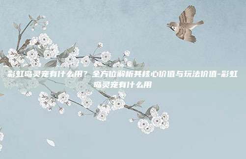 彩虹岛灵宠有什么用?全方位解析其核心价值与玩法价值-彩虹岛灵宠有什么用