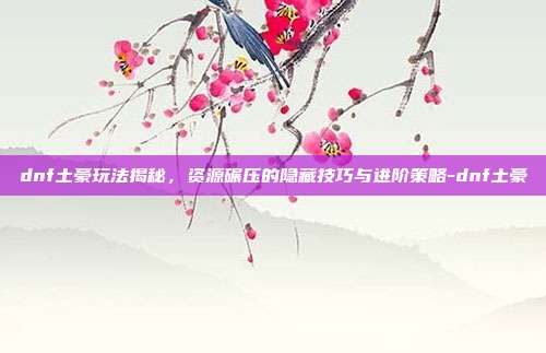 dnf土豪玩法揭秘,资源碾压的隐藏技巧与进阶策略-dnf土豪