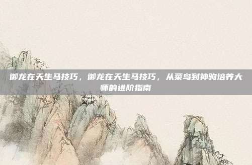 御龙在天生马技巧,御龙在天生马技巧,从菜鸟到神驹培养大师的进阶指南