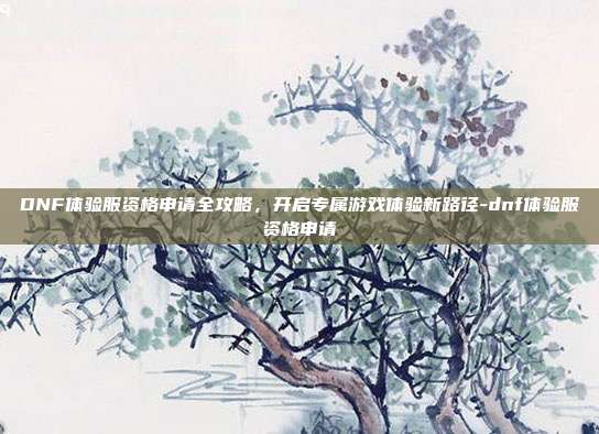 DNF体验服资格申请全攻略,开启专属游戏体验新路径-dnf体验服资格申请