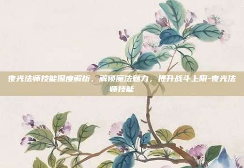 夜光法师技能深度解析,解锁魔法魅力,提升战斗上限-夜光法师技能