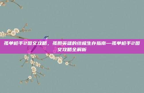 孤单枪手2图文攻略,孤胆英雄的终极生存指南—孤单枪手2图文攻略全解析