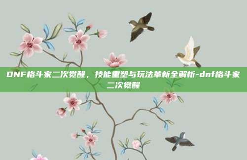 DNF格斗家二次觉醒,技能重塑与玩法革新全解析-dnf格斗家二次觉醒