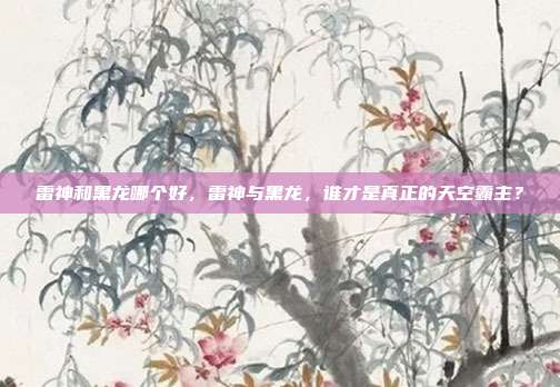 雷神和黑龙哪个好,雷神与黑龙,谁才是真正的天空霸主?