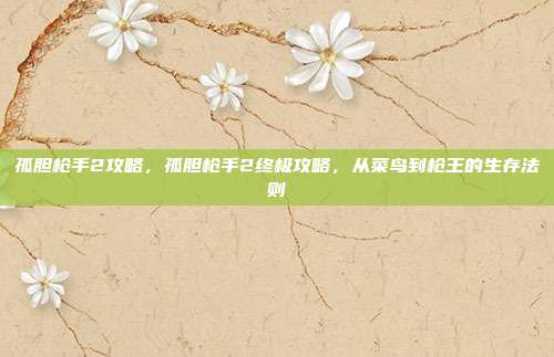 孤胆枪手2攻略,孤胆枪手2终极攻略,从菜鸟到枪王的生存法则