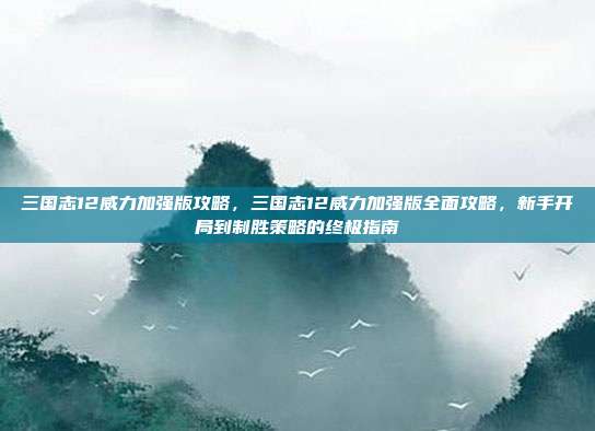 三国志12威力加强版攻略,三国志12威力加强版全面攻略,新手开局到制胜策略的终极指南