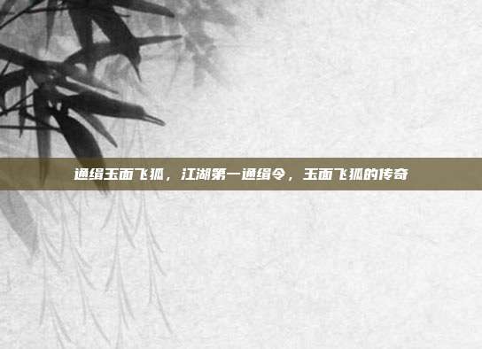 通缉玉面飞狐,江湖第一通缉令,玉面飞狐的传奇