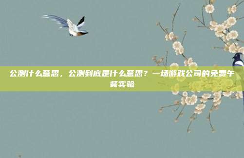 公测什么意思,公测到底是什么意思?一场游戏公司的免费午餐实验