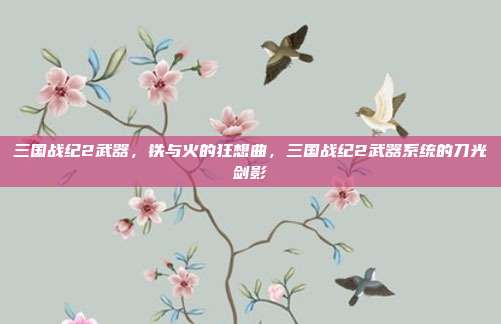 三国战纪2武器,铁与火的狂想曲,三国战纪2武器系统的刀光剑影