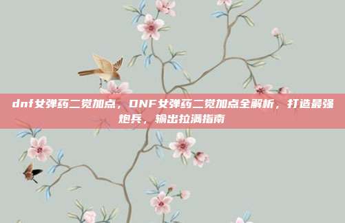 dnf女弹药二觉加点,DNF女弹药二觉加点全解析,打造最强炮兵,输出拉满指南